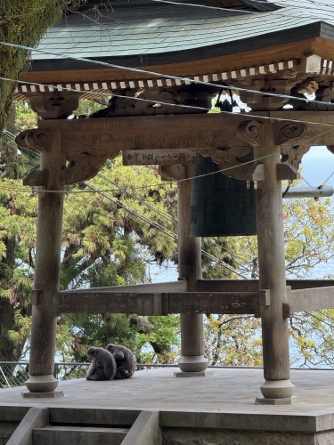 高崎山
